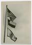 Thumbnail image of item number 1 in: '[Two UNT flags are flown under the U.S. flag on a flagpole]'.