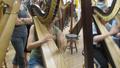 Photograph: [A girl in a row of harpists, performing]