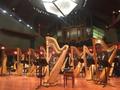 Primary view of [Rows of harps and music stands on a stage, 4]
