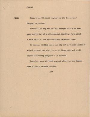 Primary view of object titled '[News Script: Jaguar]'.