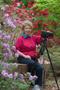 Primary view of [Capturing Nature's Beauty: Azaleas at Stephen F. Austin State University Arboretum]