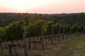 Primary view of [Enoch's Stomp Winery: Where Nature and Artistry Unite]