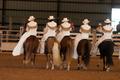 Photograph: [A Regal Formation: Texas Ladies Aside Drill Team at 2004 National Co…