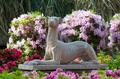 Photograph: [Dog statue in garden]