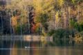 Thumbnail image of item number 1 in: '[Tranquil Serenity: A Scenic Lake at Faulkner Park]'.