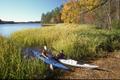 Thumbnail image of item number 1 in: '[Tranquil Kayaking at Tyler State Park]'.