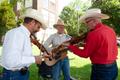 Photograph: [Harmonious Festivity: Music Under the Texas Sky]