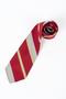 Physical Object: Striped necktie