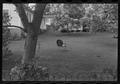 Photograph: [Metal chair in the middle of a yard]