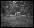 Photograph: [Small house in the woods]