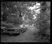 Photograph: [Car parked next to the woods]