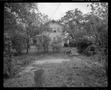 Photograph: [Yard with Trash Can Woodpile, 1987]