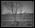 Photograph: [Highway 80 Trees from Top of Railroad Tracks, 1992]