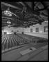 Photograph: [Boude Storey Auditorium, 1999]