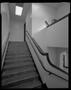 Photograph: [Peeler Stairs Left, 1999]