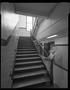 Photograph: [Boude Storey MS Ghost at Stairs, 1999]
