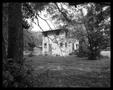 Photograph: [Backyard House with Branches, 1985]