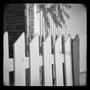 Photograph: [Chicago Picket Fence, 1978]