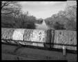 Photograph: [Big Pipe River Tributary, 1980]
