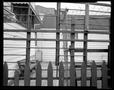 Photograph: [Chicago Fences Layered, 1980]