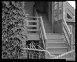 Photograph: [Gray Ivy Stairs, 1980]