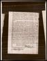 Thumbnail image of item number 3 in: '[Affidavit for Pedro J. Gonzalez against the people of California, 3]'.