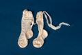 Thumbnail image of item number 2 in: 'Cream silk booties and stockings'.