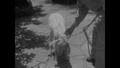 Video: [News Clip: Renegade goat is brought to justice]