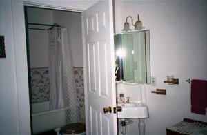 Primary view of object titled '[A bathroom at the Redbud Inn, 1]'.