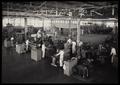Photograph: [Men using machines inside a factory]