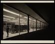 Photograph: [Windows of Dallas Public Library, Casa View Branch]