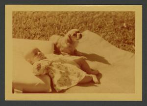 Primary view of object titled '[Baby and dog]'.