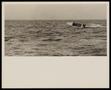 Photograph: [Man Driving Speed Boat, 4]