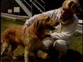 Video: [News Clip: Disabled Animals]