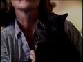Video: [News Clip: Black Cat]