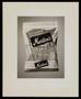 Photograph: [A Morton's bag of chips from a grocery store]