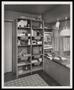 Photograph: [A shelf containing a variety of objects inside a home]
