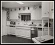 Photograph: [A kitchen with pale cabinets and patterned wallpaper]