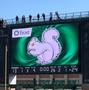 Primary view of [Image of the UNT White Squirrel Mascot on the Jumbotron at a UNT Football Game]