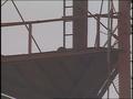 Video: [News Clip: Tower Climber]