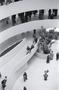 Thumbnail image of item number 1 in: '[Guests and plants at the Guggenheim, 1]'.