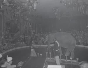 Primary view of object titled '[A woman performing with an elephant, 2]'.