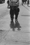 Photograph: [Two men walking alongside a busy road, 5]