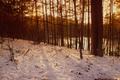 Photograph: [Frost-Kissed Tranquility: Tyler's Winter Sonata]