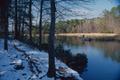 Photograph: [Winter's Whisper: Frozen Reverie at Tyler's Lake]
