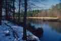 Photograph: [Glacial Solitude: Tyler's Lake in Winter's Embrace]