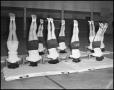 Primary view of [Women's Gymnastics students practicing head stands, 1942]