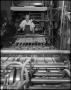 Photograph: [Man Working in Print Shop]