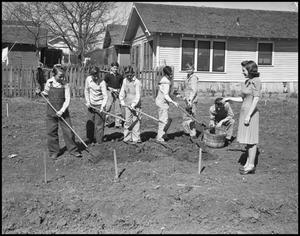 Primary view of object titled '[Virginia Mauldin with boys on farm, 2]'.
