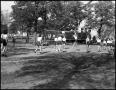 Photograph: [Women playing volleyball]